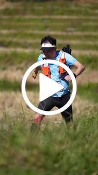 BIB:  <button type="button" onclick="openModal(26787217)" class="btn btn-primary btn-sm float-right" data-toggle="modal" data-target=".modal-high-quality">
                <i class="fa fa-download"></i> Download
                </button>